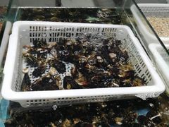 -鼓歌海鲜舫·手抓海鲜(大学城店)