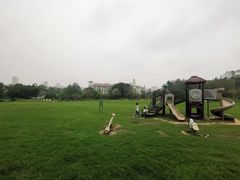 -重庆长寿碧桂园凤悦凤凰酒店