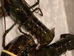 -鱼乐轩海鲜专门店