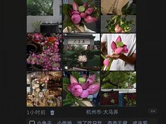 -西湖文化广场