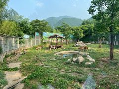 -西安秦岭野生动物园
