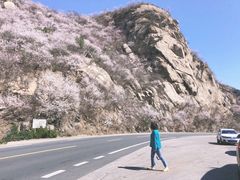 -延庆地质公园博物馆
