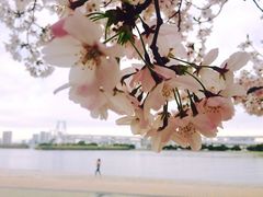 -台场海滨公园船码头