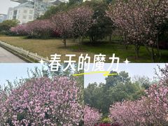 -上海来福士广场