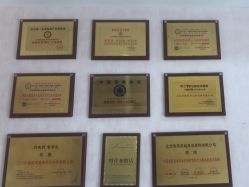 -香薇妮丝·定制减肥·身材管理