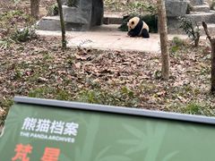 -中国大熊猫保护研究中心雅安碧峰峡基地