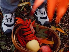 -北运河水利风景区