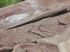 -沽源味道(中环路店)