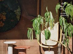 -梵几(东信·和创园店)