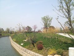 iphone_upload_pic-羊山湖公园