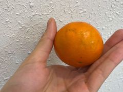 -野妹火锅(布吉店)