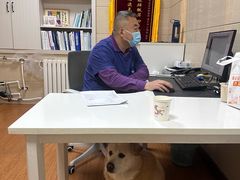 -北京观赏动物医院·24小时大型综合·猫专科·异宠专科