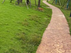 -上海怡沁园度假酒店