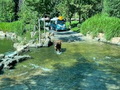 -北京野生动物园