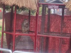 -武汉紫薇都市田园