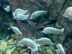 -成都浩海立方海洋公园