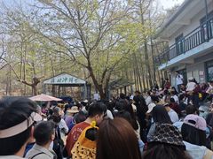 -沂蒙山旅游区云蒙景区(蒙山国家森林公园)