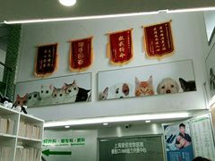 -爱侣宠医·鹦鹉专科·小型哺乳类·异宠专科(灵石路店)