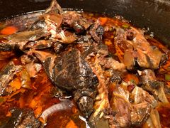 炖甲鱼-济南香格里拉·咖啡泉自助餐厅