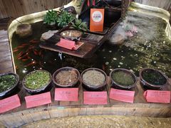 -老滇山寨•云南特色菜•地方菜•民族风情歌舞表演(金碧店)