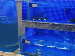 -香山湖渔家大院