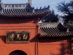 -洛阳白马寺
