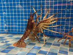 -蓝钻·国际美食海鲜自助百汇(西直门店)
