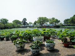 -无锡蠡湖国家湿地公园-蠡园
