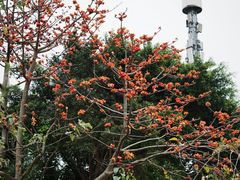 -喜洲吧·江畔老船厂·庭院餐厅(喜临院店)