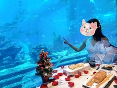 -亚特兰蒂斯•OSSIANO奥西亚诺海底餐厅