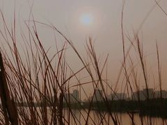 -飞来湖湿地公园