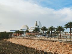 -野狸岛
