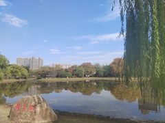 -堤角公园