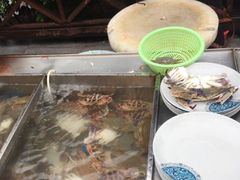 -渔家火锅·海鲜自助餐·演艺(亚龙湾天域酒店)