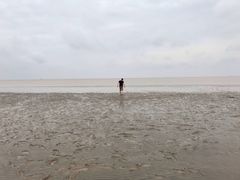 -南汇嘴观海公园