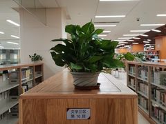 -厦门市图书馆(集美新城馆区)