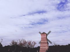 -铁山坪森林公园