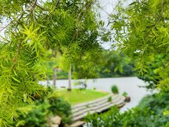 -深圳仙湖植物园