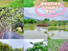 -佛冈森波拉度假区