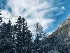 景点-毕棚沟景区