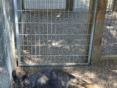 -费瑟代尔野生动物园