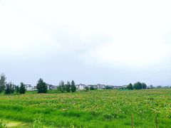 -大理洱海