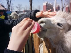 -萌宠亲子动物乐园(槐房万达店)