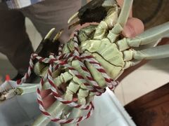 -丫丫蟹庄·苏式园林农家乐·阳澄湖大闸蟹(阳澄湖莲花岛店)