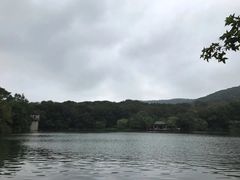 -紫金山山顶公园
