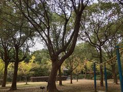 -蠡湖大桥公园