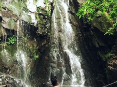 -藏龙百瀑风景区