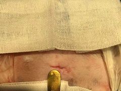 -萌兽医馆·宠物医院·猫骨科(创景店)