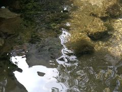 -泉乐坊步行街(烟酒特产平价超市店)