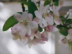 -海棠花溪(元大都城垣遗址公园)